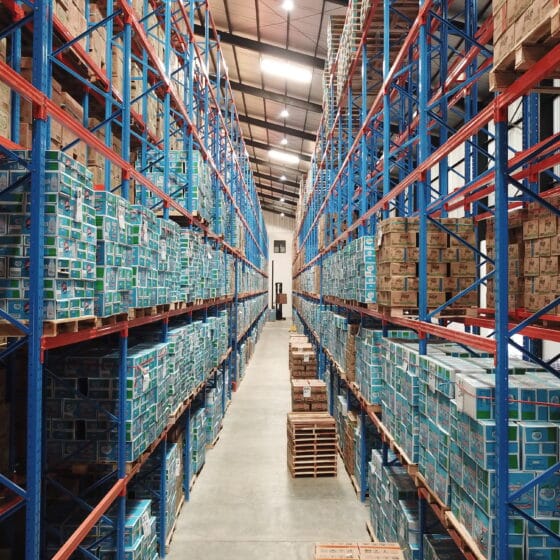 Interior of the DSPX warehouse in Surabaya featuring high-bay storage racks, palletized inventory, and organized logistics operations.